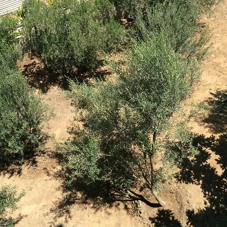 Apartamento Begonvil Evleri *
